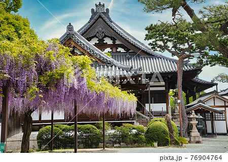 葛井寺 　(大阪府藤井寺市藤井寺) 76904764