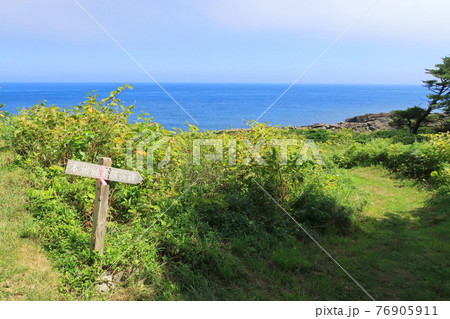 岩手県の重茂半島線、魹ヶ崎の風景 76905911
