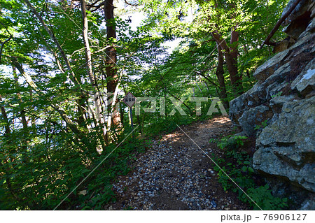 岩手県の重茂半島線、魹ヶ崎の風景 76906127