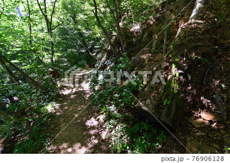 岩手県の重茂半島線、魹ヶ崎の風景 76906128