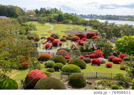 日本三名園の一つ偕楽園の庭園【つつじ咲く四月下旬】 日本三名園の一つ偕楽園の庭園【つつじ咲く四月下旬】 76906651