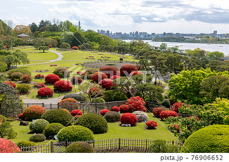 日本三名園の一つ偕楽園の庭園【つつじ咲く四月下旬】 76906652
