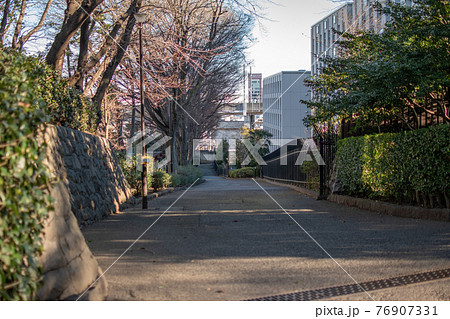 滝野川公園 ／北区西ヶ原 76907331