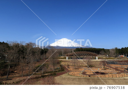富士山樹空の森の景観 富士山樹空の森の景観 76907538