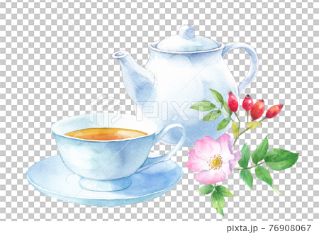 Watercolor illustration of rosehip tea 76908067