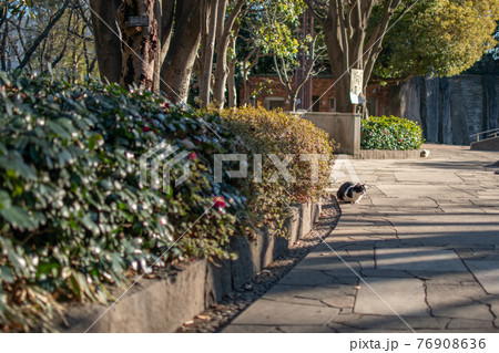 滝野川公園 ／北区西ヶ原 76908636