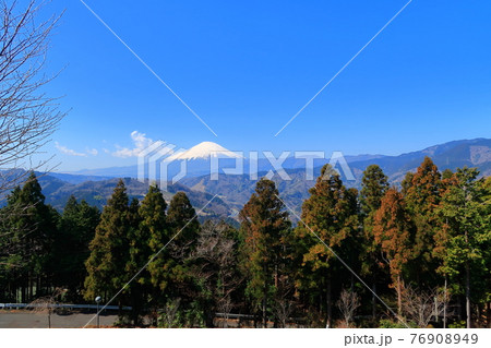 山北つぶらの公園の景観 76908949