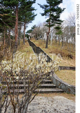 三陸海岸の自然　黒崎園地 76909882