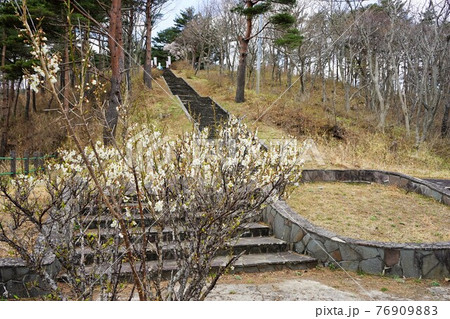 三陸海岸の自然 黒崎園地 三陸海岸の自然 黒崎園地 76909883