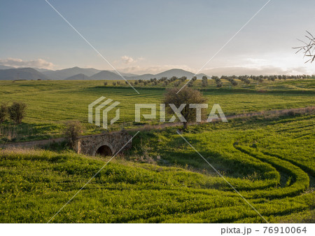 Tree and old bridge with Troodos mountains in the background landscape scene- Peristerona, Cyprus 76910064