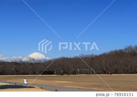 中井中央公園の景観 中井中央公園の景観 76910151