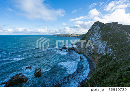 Nugget Point 76910729