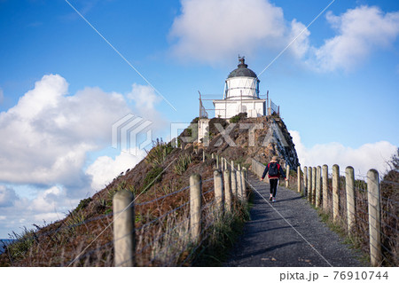 Nugget Point 76910744