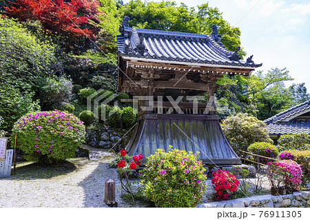 つつじ満開の関西花の寺 船宿寺の写真素材