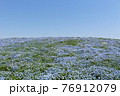 ネモフィラと空 76912079