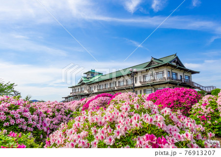 蒲郡クラシックホテル、満開のつつじ〈愛知県蒲郡市〉 76913207