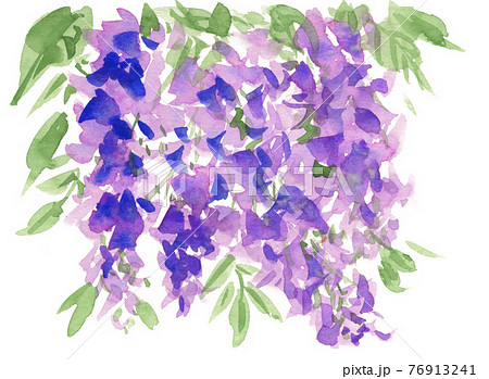 藤の花pix7のイラスト素材