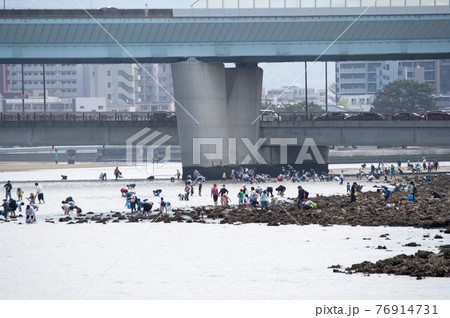 潮干狩りで賑わう福岡市内の室見川河口の写真素材