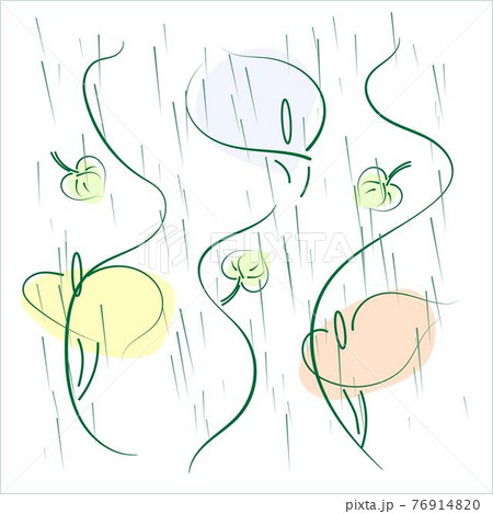 Calla Lily Flowers under Rain, vector design 76914820