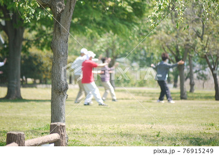 休日の公園で太極拳の優雅な舞 76915249