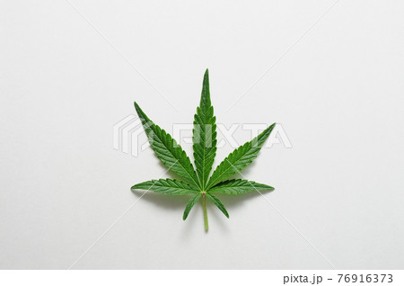 Beautiful cannabis leaf isolated on white background. 76916373