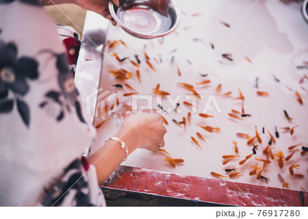 金魚すくいをする着物を着た女性の手 76917280