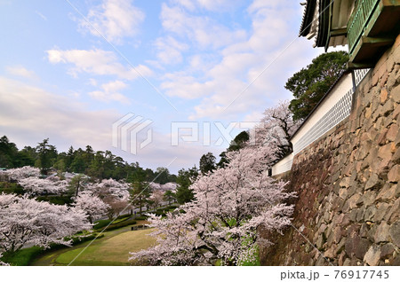 春の金沢城石川門 春の金沢城石川門 76917745