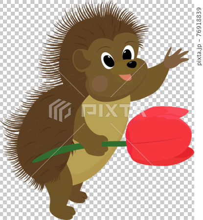 Vector illustration of hedgehog. Isolated on white. Cute cartoon character. Vector illustration of hedgehog. Isolated on white. Cute cartoon character. 76918839