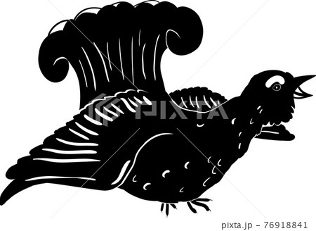 Vector silhouette of a grouse isolated on white 76918841