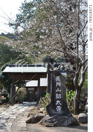 枝垂れ桜で有名な長興山紹太寺　 76918971