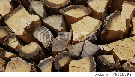 Oak firewood is dried in a woodpile 76919298