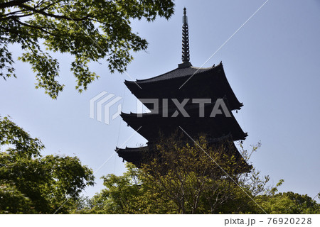 東寺 五重塔 東寺 五重塔 76920228