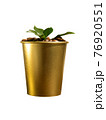 Golden coffee cup with coffee beans and leaves 76920551