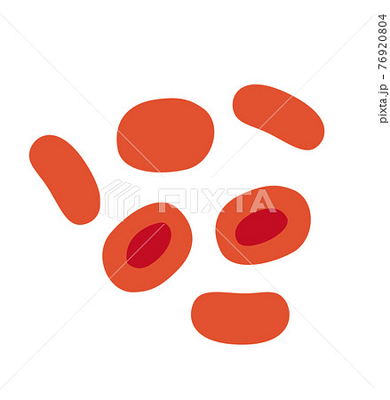 赤血球のイラスト素材のイラスト素材