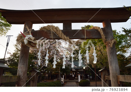 藁大蛇の注連引 76923894