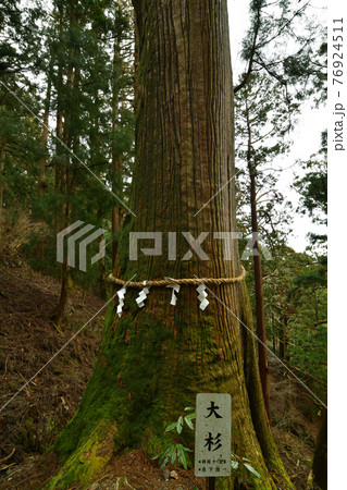 玉置神社より 玉置神社より 76924511