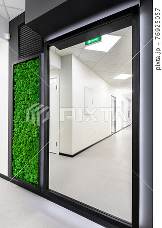 Office interior with vertical garden. Green moss wall in clean hallway Office interior with vertical garden. Green moss wall in clean hallway 76925057