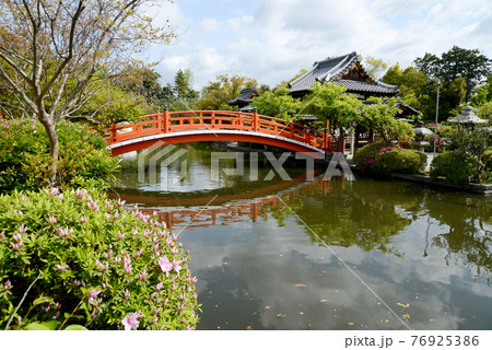 神泉苑　法成就池　京都市 76925386