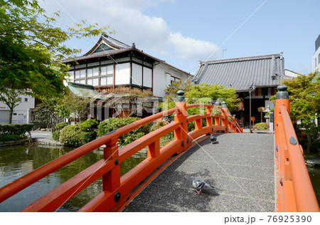 神泉苑　法成橋から本堂と方丈を望む　京都市 76925390