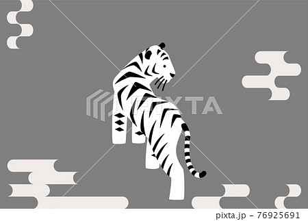 年賀状 寅 白虎 イラスト のイラスト素材