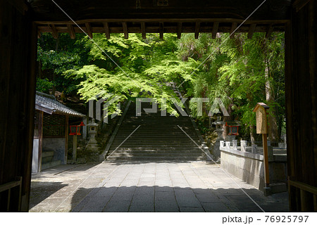 法輪寺 山門から新緑の参道を望む 京都市嵐山 法輪寺 山門から新緑の参道を望む 京都市嵐山 76925797
