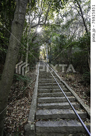 太老神社 参道 岡山県浅口市 太老神社 参道 岡山県浅口市 76925851