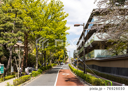 (東京都ー風景)世田谷住宅街の通り沿い風景4 (東京都ー風景)世田谷住宅街の通り沿い風景4 76926030