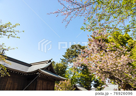(東京都ー風景)青空と松陰松陰神社の神楽殿2 76926096