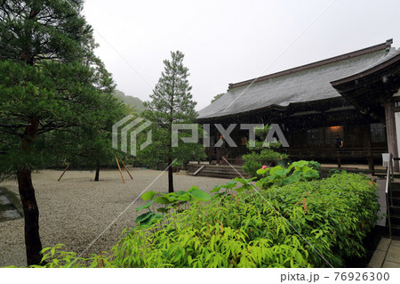 神奈川県　雨の鎌倉　建長寺　方丈 76926300