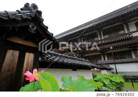 神奈川県　雨の鎌倉　建長寺　宗務本院 76926302