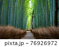 春の京都 竹林の小径 76926972