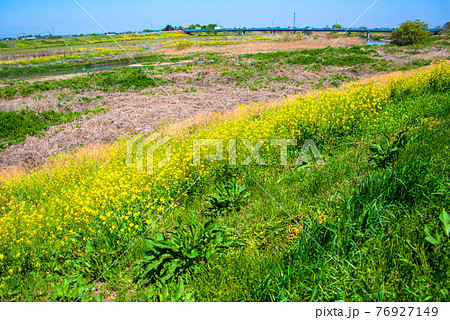 入間川 雁見橋付近 早春の風景 荒川支流 入間川 雁見橋付近 早春の風景 荒川支流 76927149
