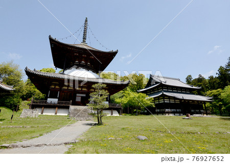 粉河寺　大塔と大伝法堂　和歌山県岩出市 76927652