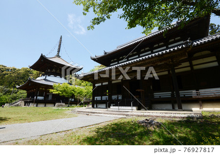 根来寺　大塔と大伝法堂　和歌山県岩出市 76927817